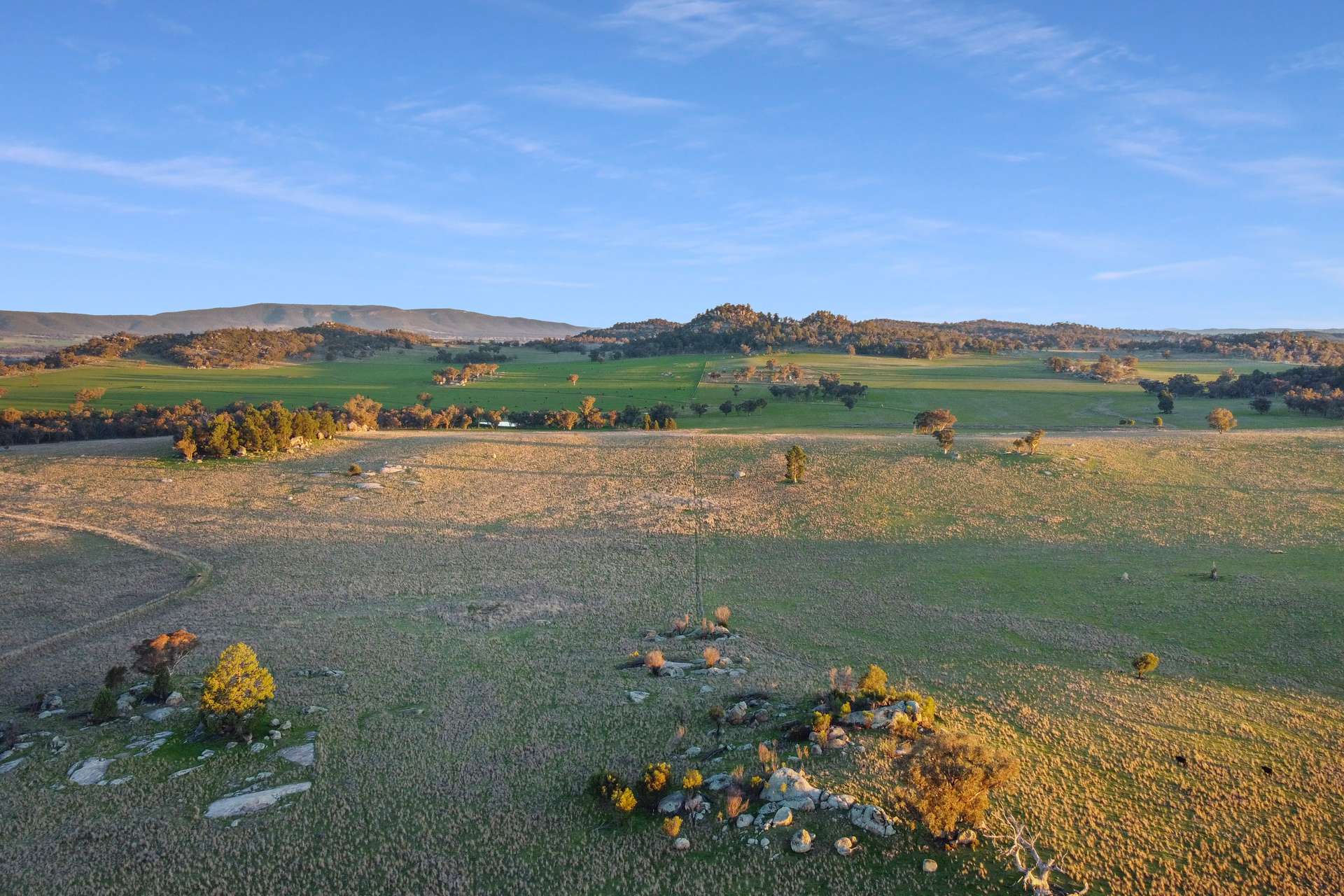 Loch Lomond Road, Gooloogong For Sale by Farmbuy.com - image 7