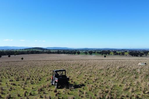 Loch Lomond Road, Gooloogong NSW 2805