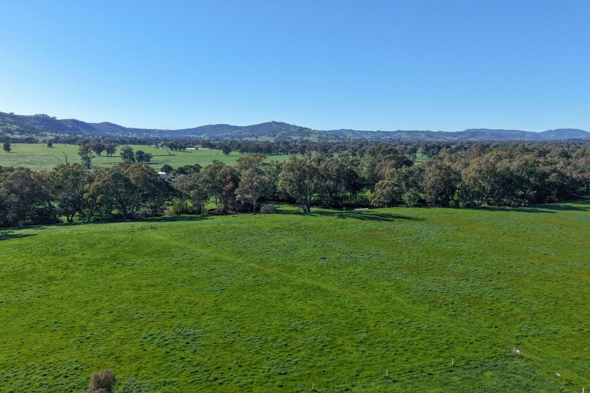40 Crosses Road, Indigo Valley For Sale by Farmbuy.com - image 1