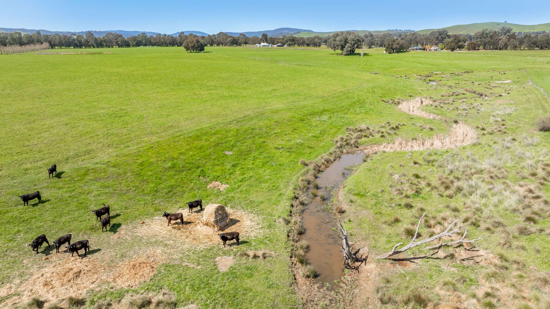 Lot 3 Indigo Creek Road, Indigo Valley For Sale by Farmbuy.com - image 16