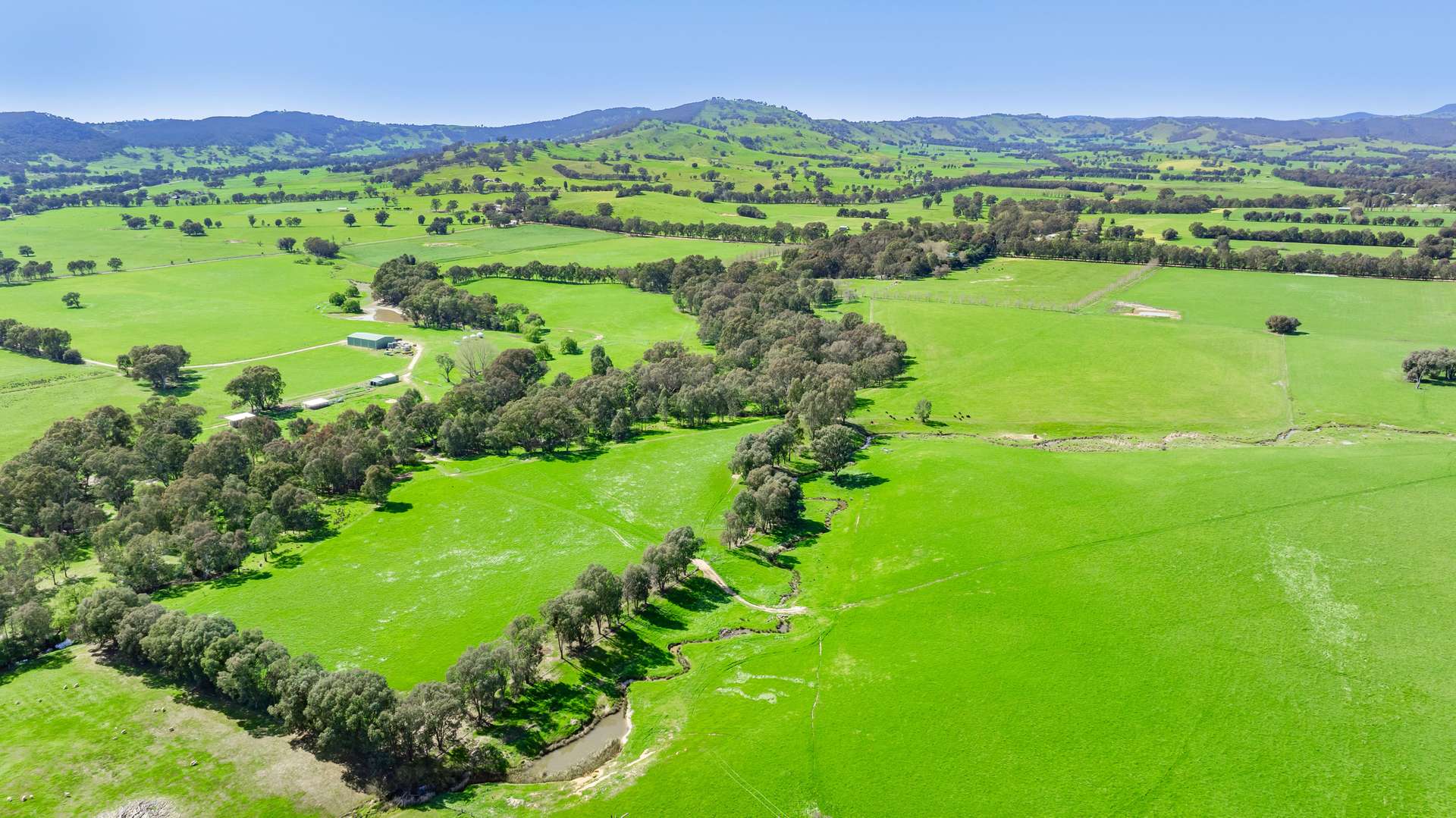 Lot 3 Indigo Creek Road, Indigo Valley For Sale by Farmbuy.com - image 12