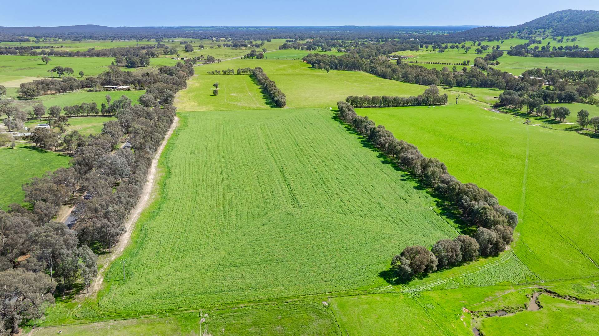 Lot 3 Indigo Creek Road, Indigo Valley For Sale by Farmbuy.com - image 6