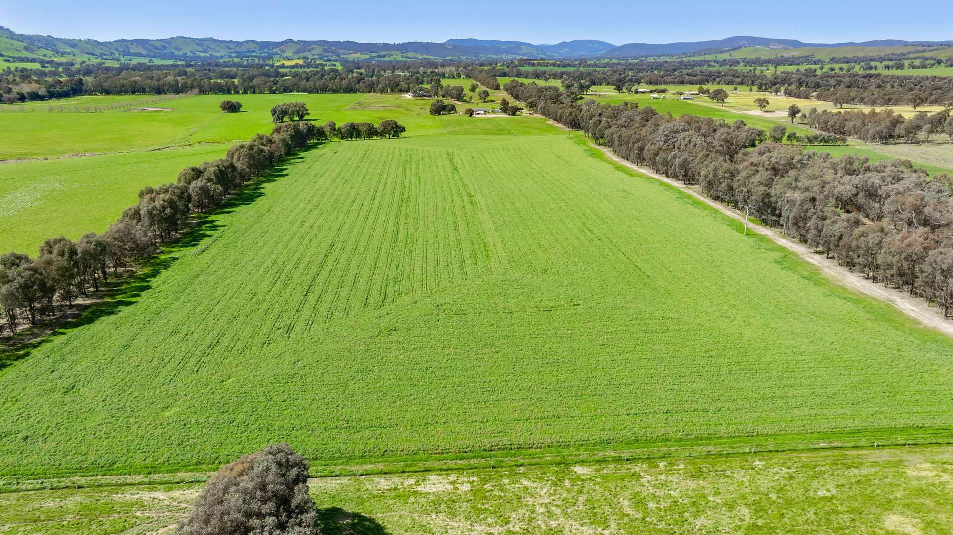 Lot 3 Indigo Creek Road, Indigo Valley For Sale by Farmbuy.com - image 14