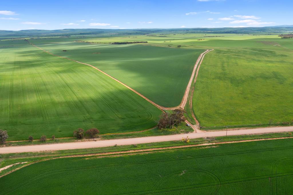 267 Boucaut Road, Brinkworth SA 5464