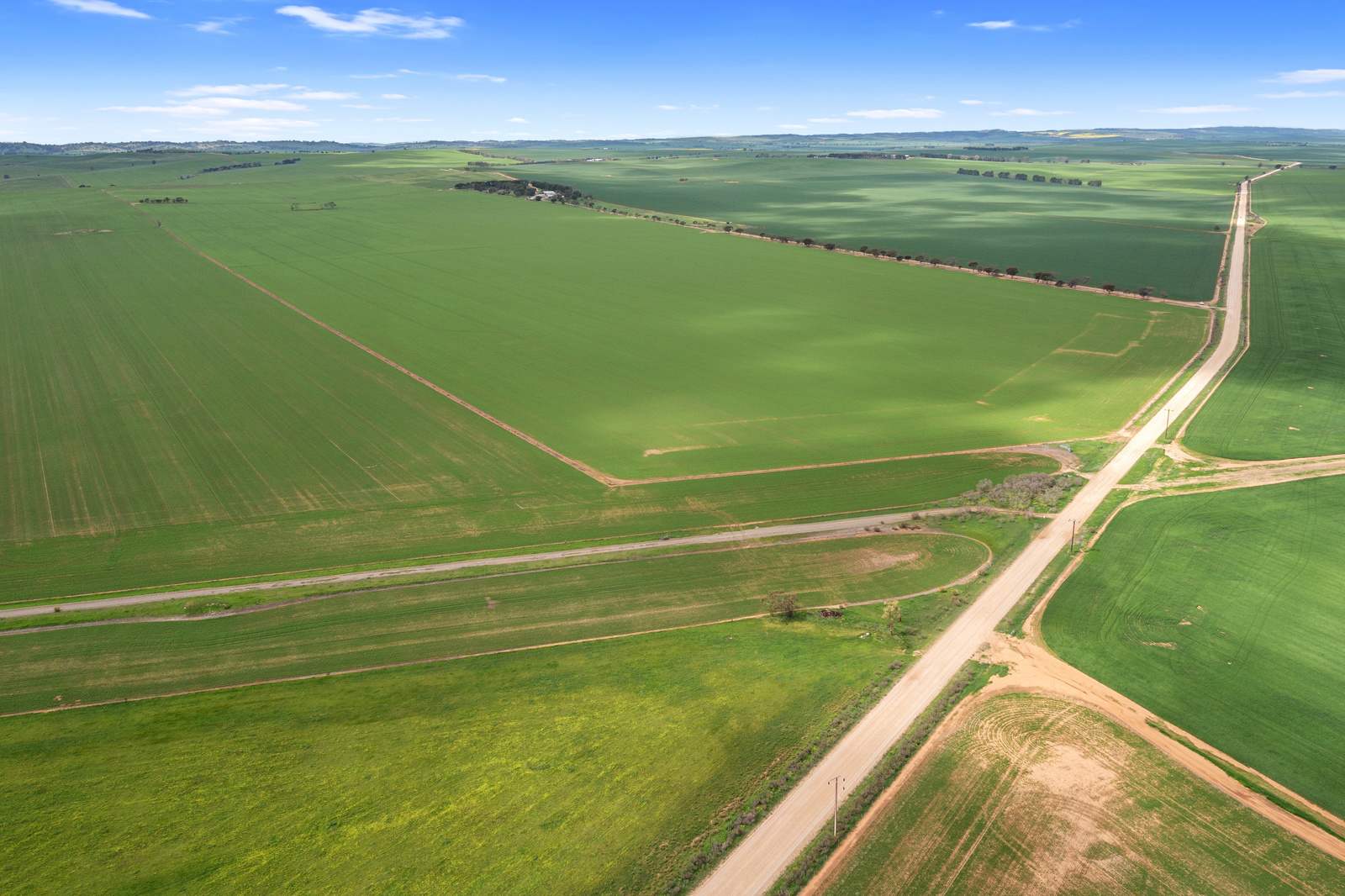 267 Boucaut Road, Brinkworth Sold by Farmbuy.com - image 10