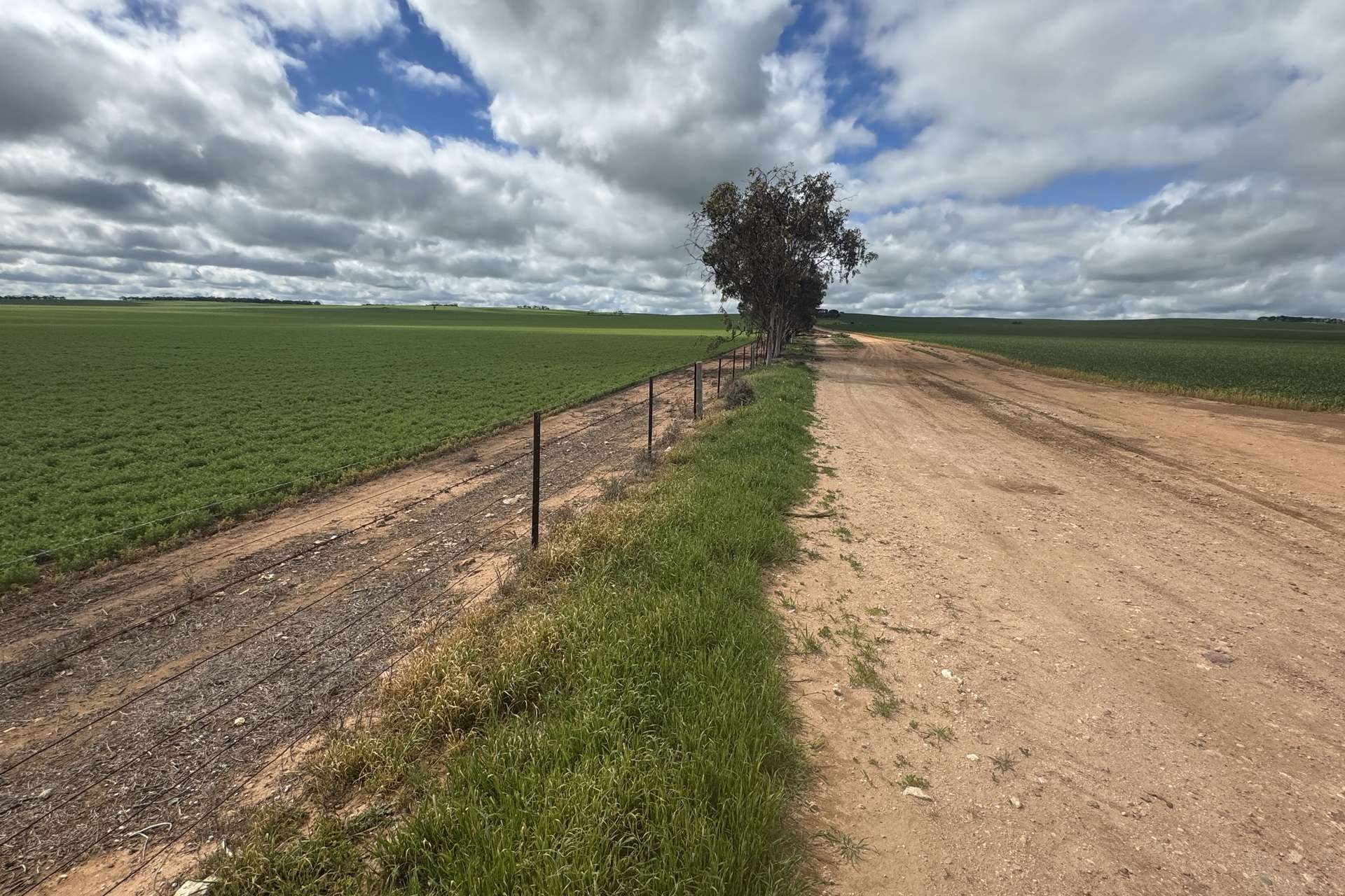267 Boucaut Road, Brinkworth Sold by Farmbuy.com - image 21