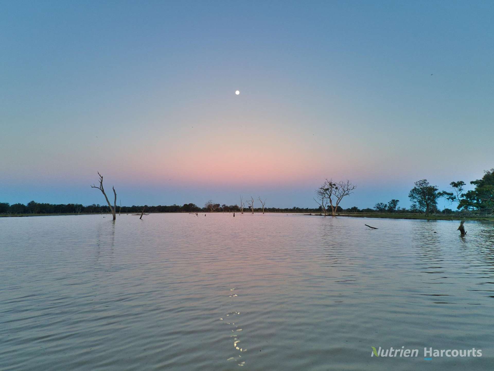 * Fairview Station, 2667 Mulya Road, Cobar For Sale by Farmbuy.com - image 3