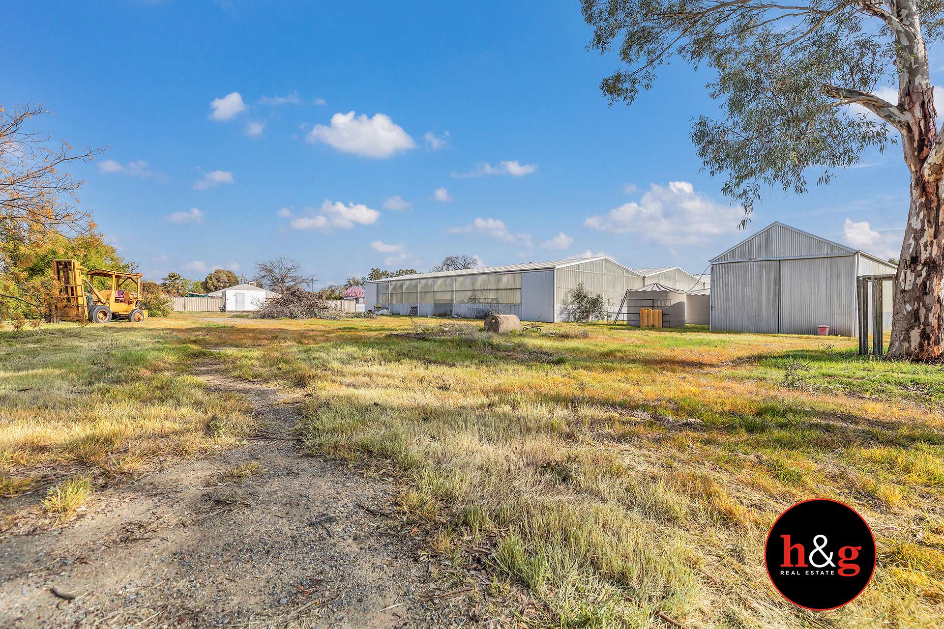 51 Morrissey Street, Merrigum For Sale by Farmbuy.com - image 5