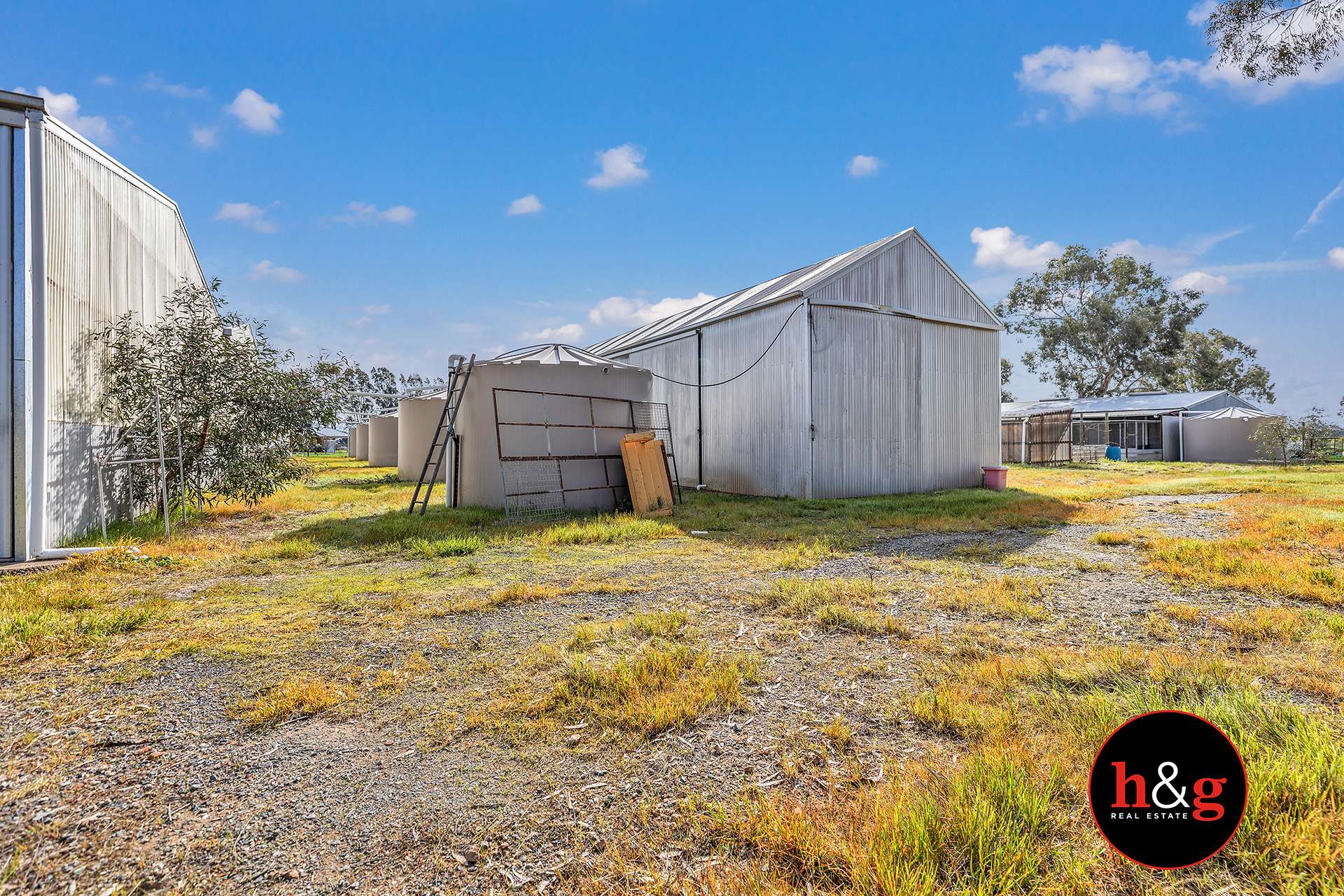 51 Morrissey Street, Merrigum For Sale by Farmbuy.com - image 7