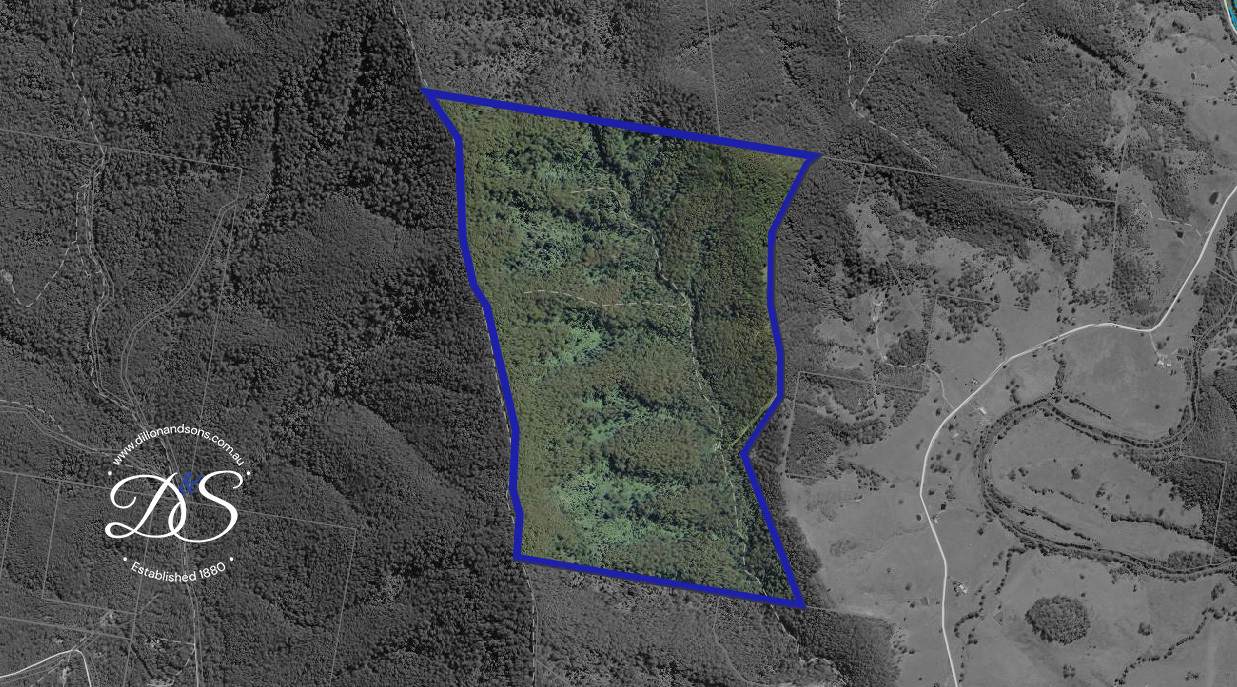 251 Moores Road, Dungog Sold by Farmbuy.com - image 15
