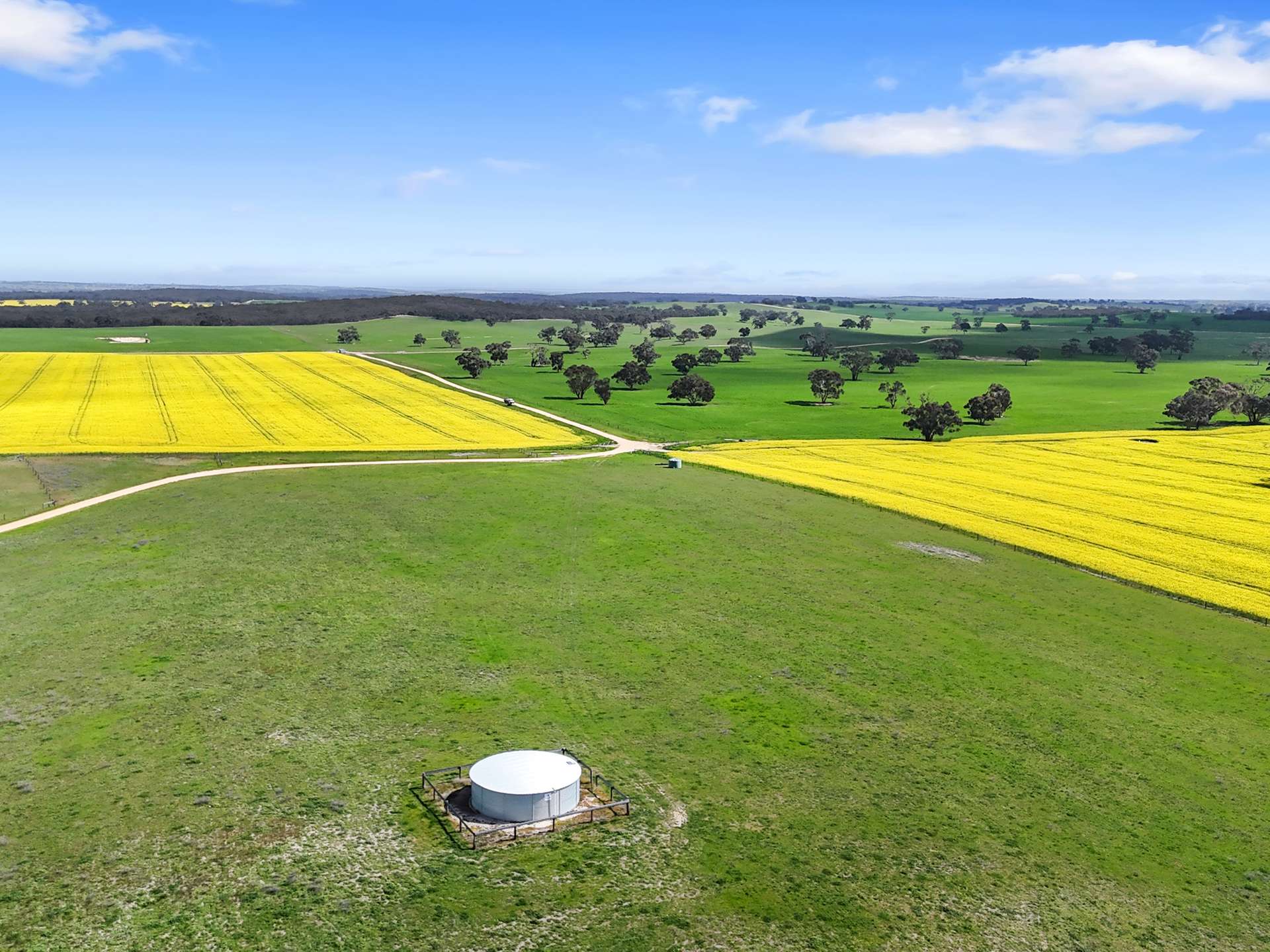 559 Old Stone Tank Road, Mundulla Sold by Farmbuy.com - image 1