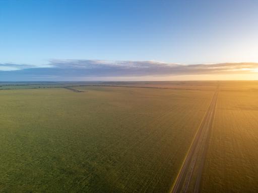 Farm Sold - WA - Mallee Hill - 6353 - 