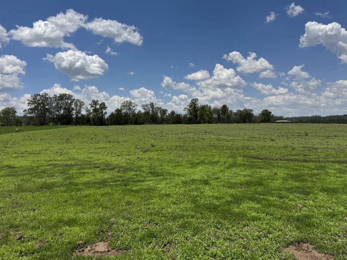 32169 Burnett Highway, Monto Sold by Farmbuy.com - image 20