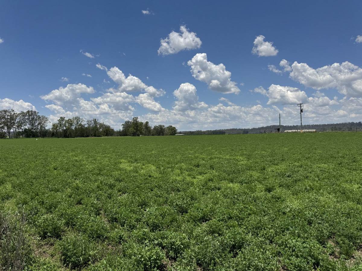 32169 Burnett Highway, Monto Sold by Farmbuy.com - image 18