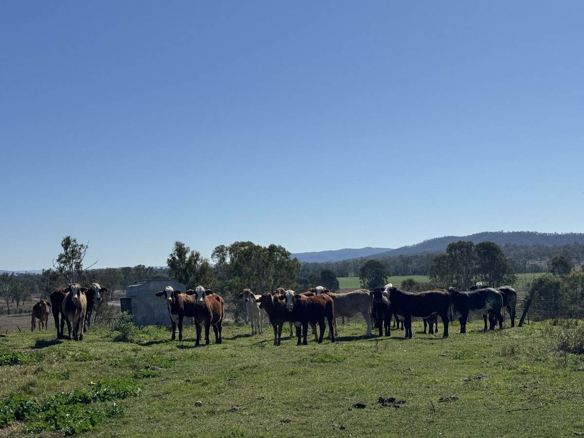32169 Burnett Highway, Monto Sold by Farmbuy.com - image 24