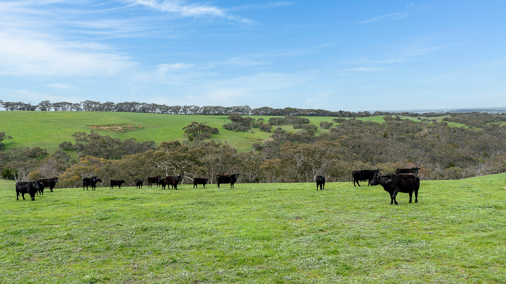 Norgrove Mount Magnificent Road, Mount Magnificent SA 5210