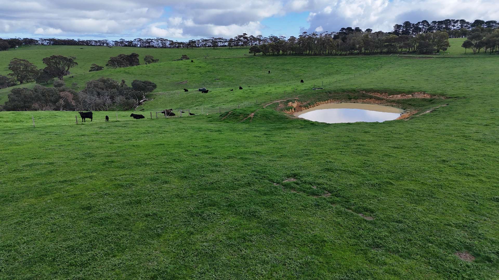 Norgrove Mount Magnificent Road, Mount Magnificent Sold by Farmbuy.com - image 10