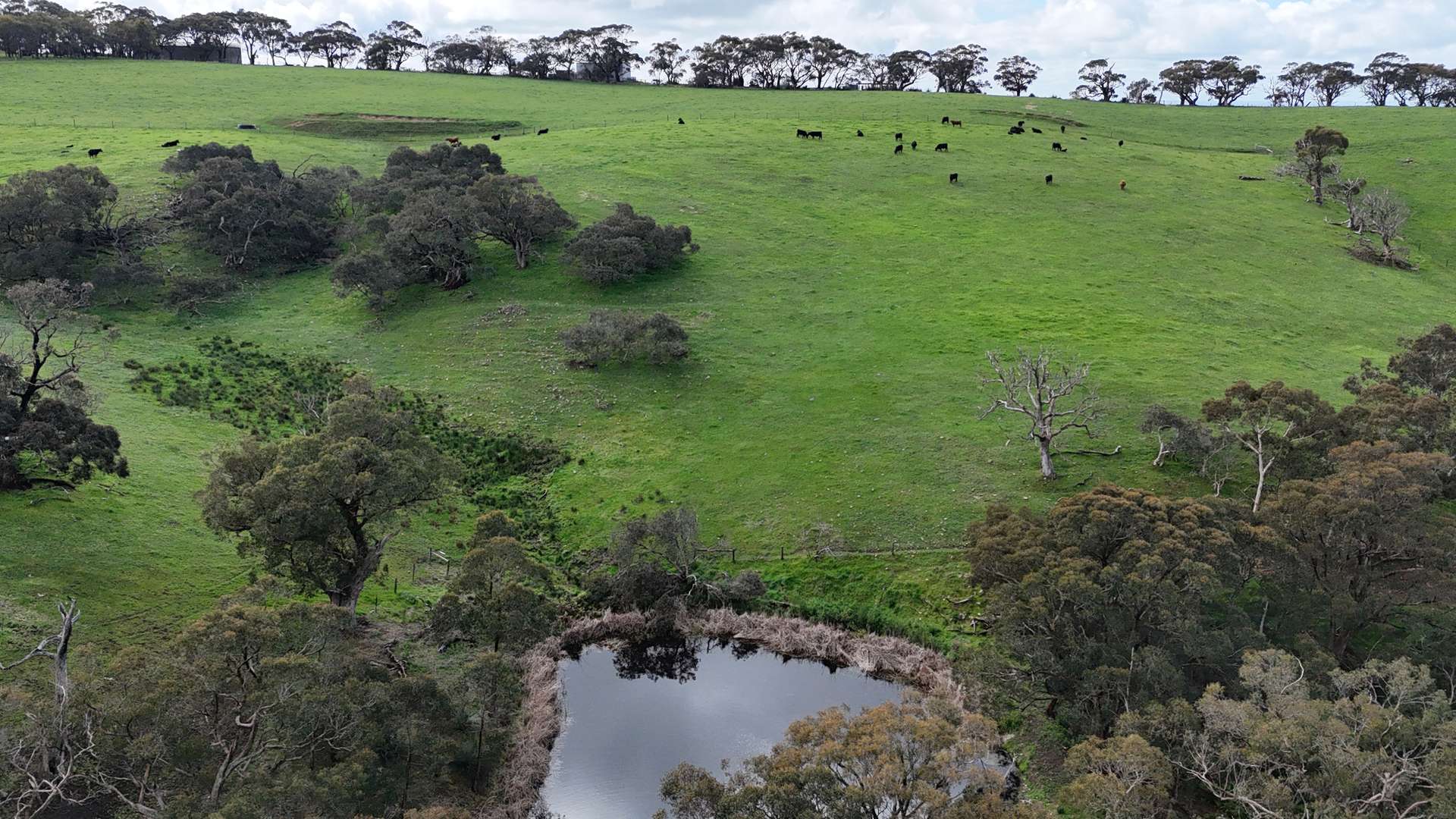 Norgrove Mount Magnificent Road, Mount Magnificent Sold by Farmbuy.com - image 16