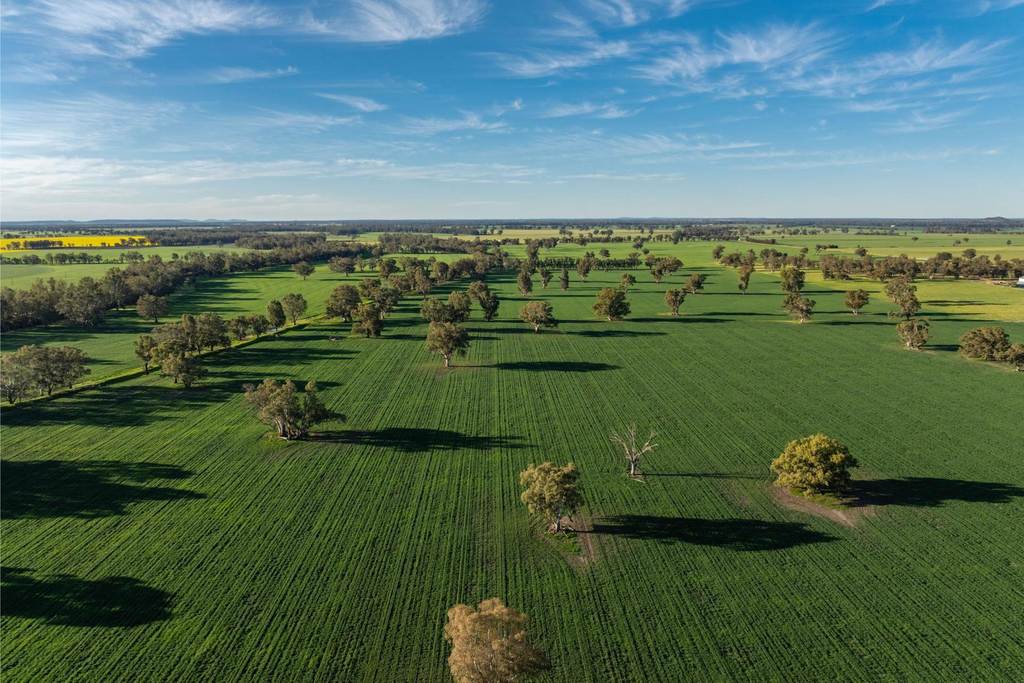 369 McKenzies Road, Galore NSW 2650