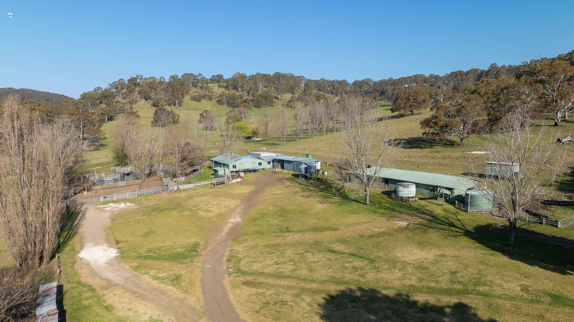 'Brucelyn & Mt Emby' 453 & 504 Moredun Road, Ben Lomond Sold by Farmbuy.com - image 19