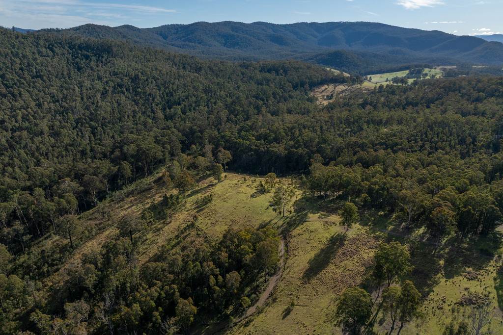 3954 Tulloch Ard Road, Buchan VIC 3885