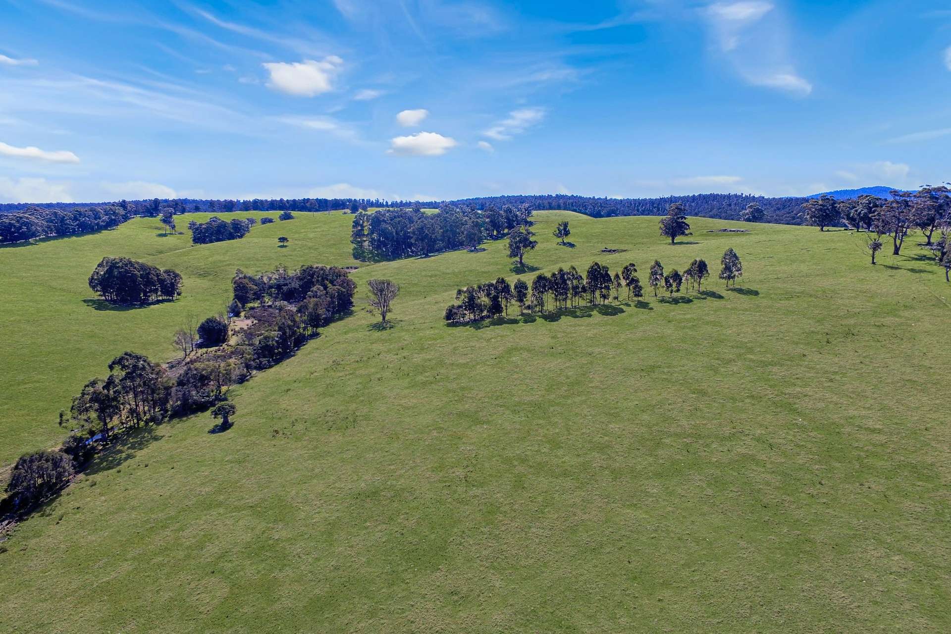 150 Yalmy Road, Jarrahmond Sold by Farmbuy.com - image 13