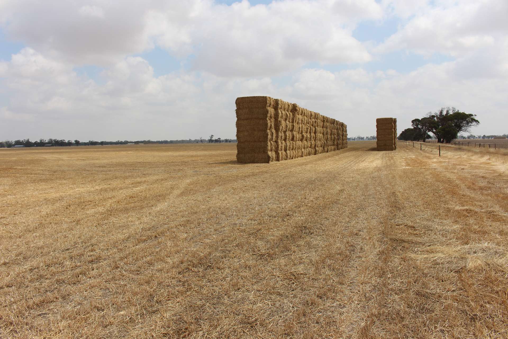 1427 Naracoorte Road, Bordertown For Sale by Farmbuy.com - image 4
