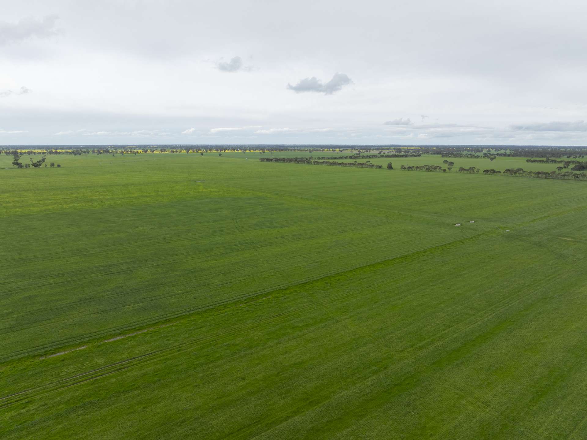 1427 Naracoorte Road, Bordertown For Sale by Farmbuy.com - image 6