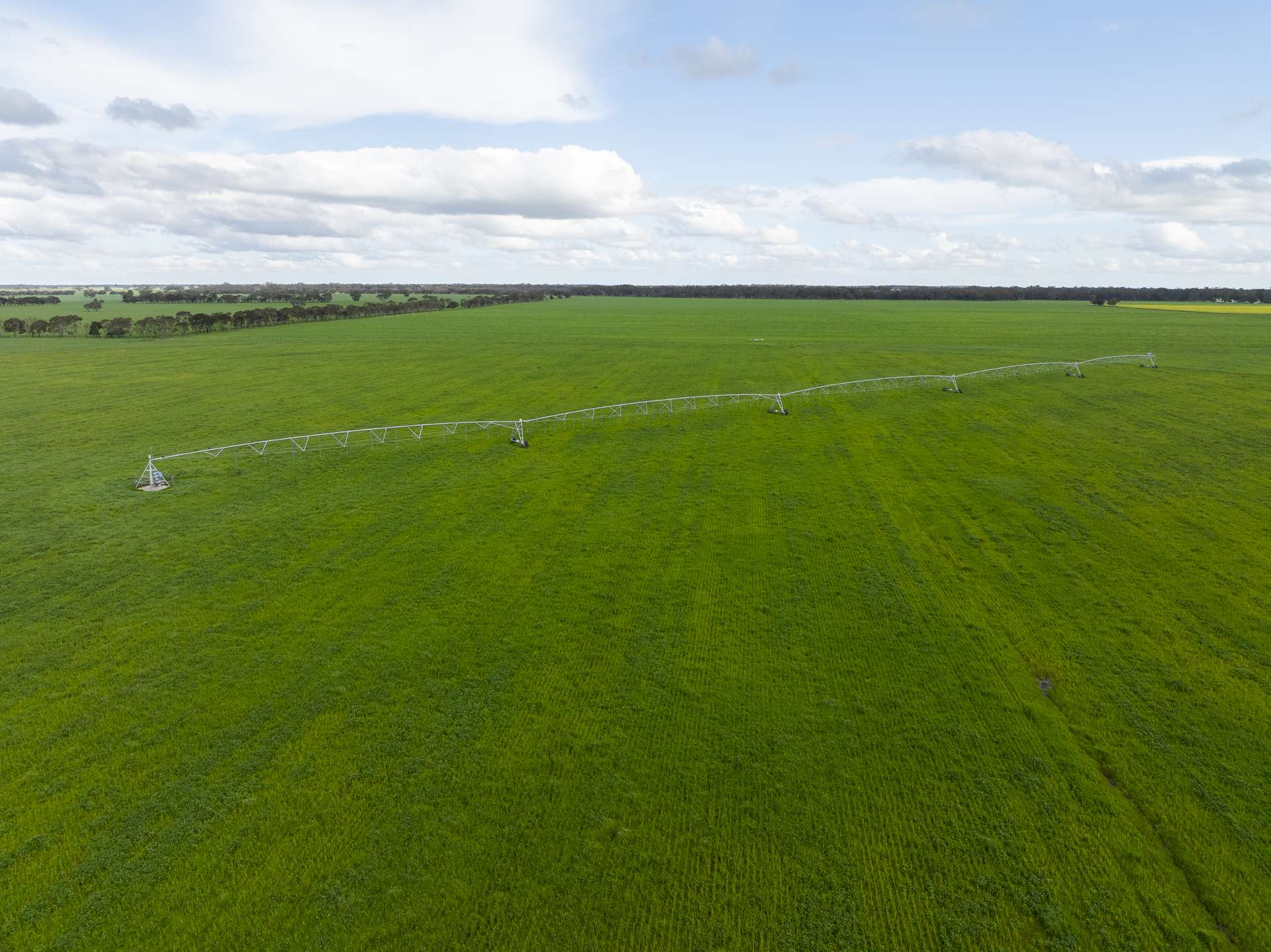 1427 Naracoorte Road, Bordertown For Sale by Farmbuy.com - image 16