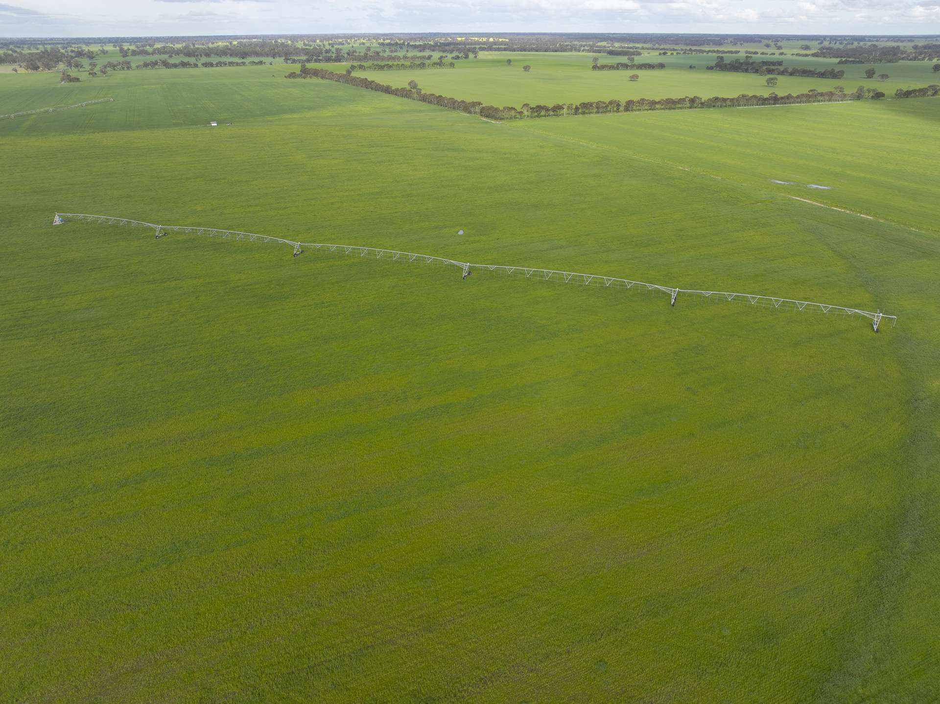 1427 Naracoorte Road, Bordertown For Sale by Farmbuy.com - image 7