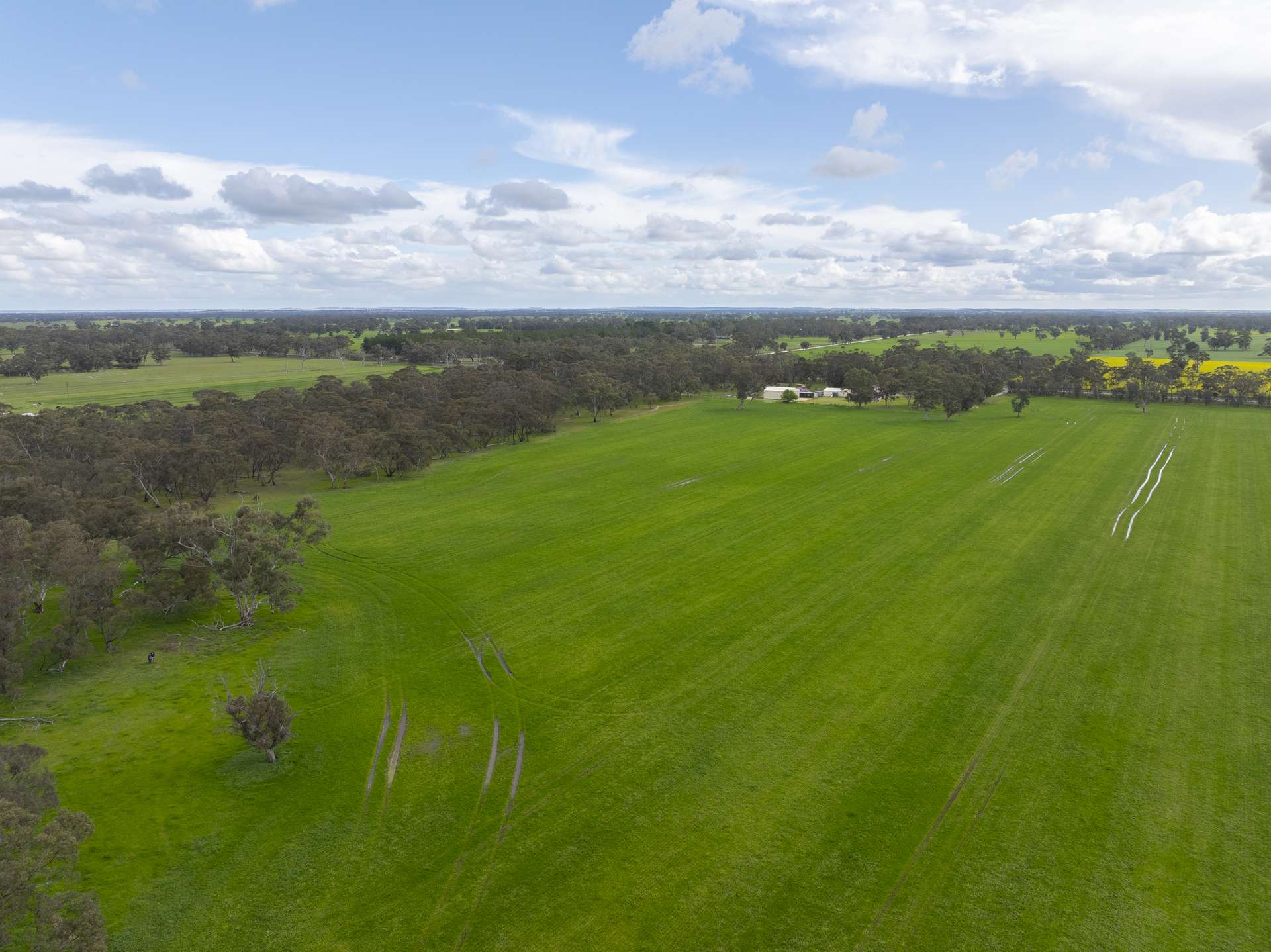 1427 Naracoorte Road, Bordertown For Sale by Farmbuy.com - image 8