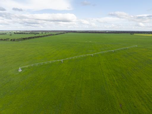 Farm For Sale - SA - Bordertown - 5268 - GREAT BALANCE OF COUNTRY, WATER LICENCES & INFRASTRUCTURE IN A CONVENIENT LOCATION 