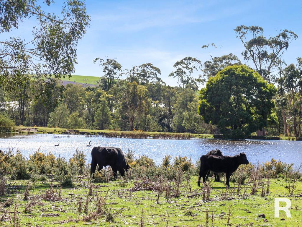 46 Bogan Road, Osmaston TAS 7303