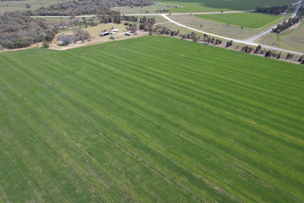 6689 Mid Western Highway, Caragabal NSW 2810