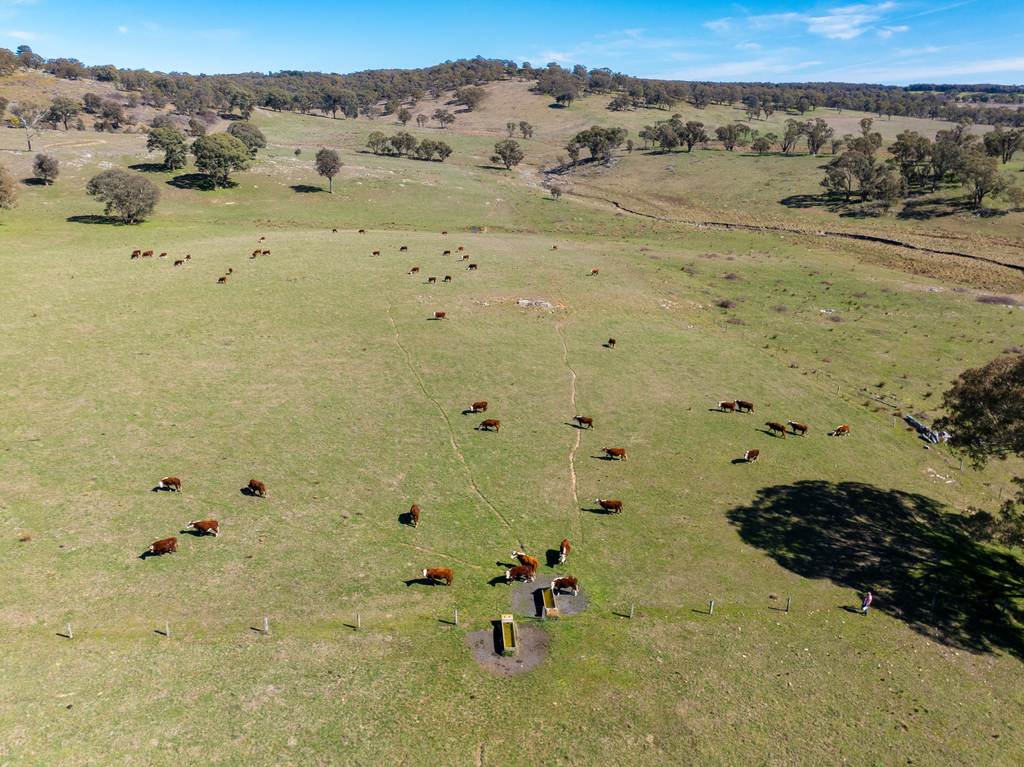 5353 Trunkey Road, Trunkey Creek NSW 2795