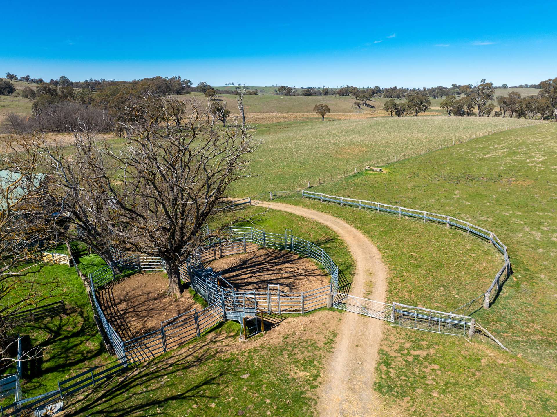 5353 Trunkey Road, Trunkey Creek For Sale by Farmbuy.com - image 3