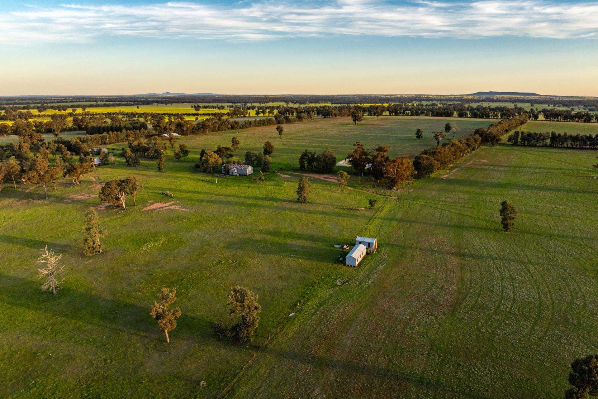 Weir Road, Galore Sold by Farmbuy.com - image 5