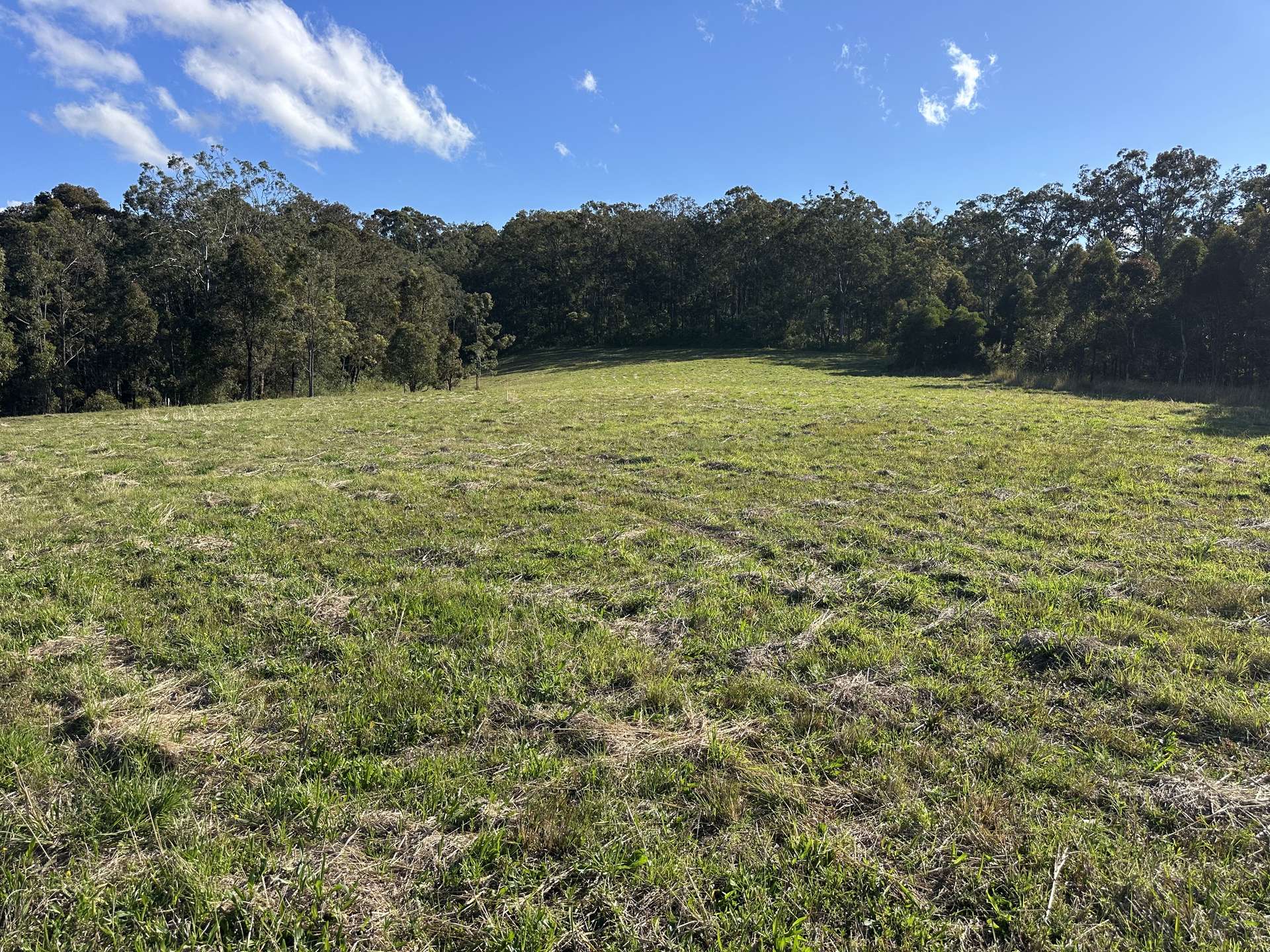 23 Chant Place, Tinonee Sold by Farmbuy.com - image 16