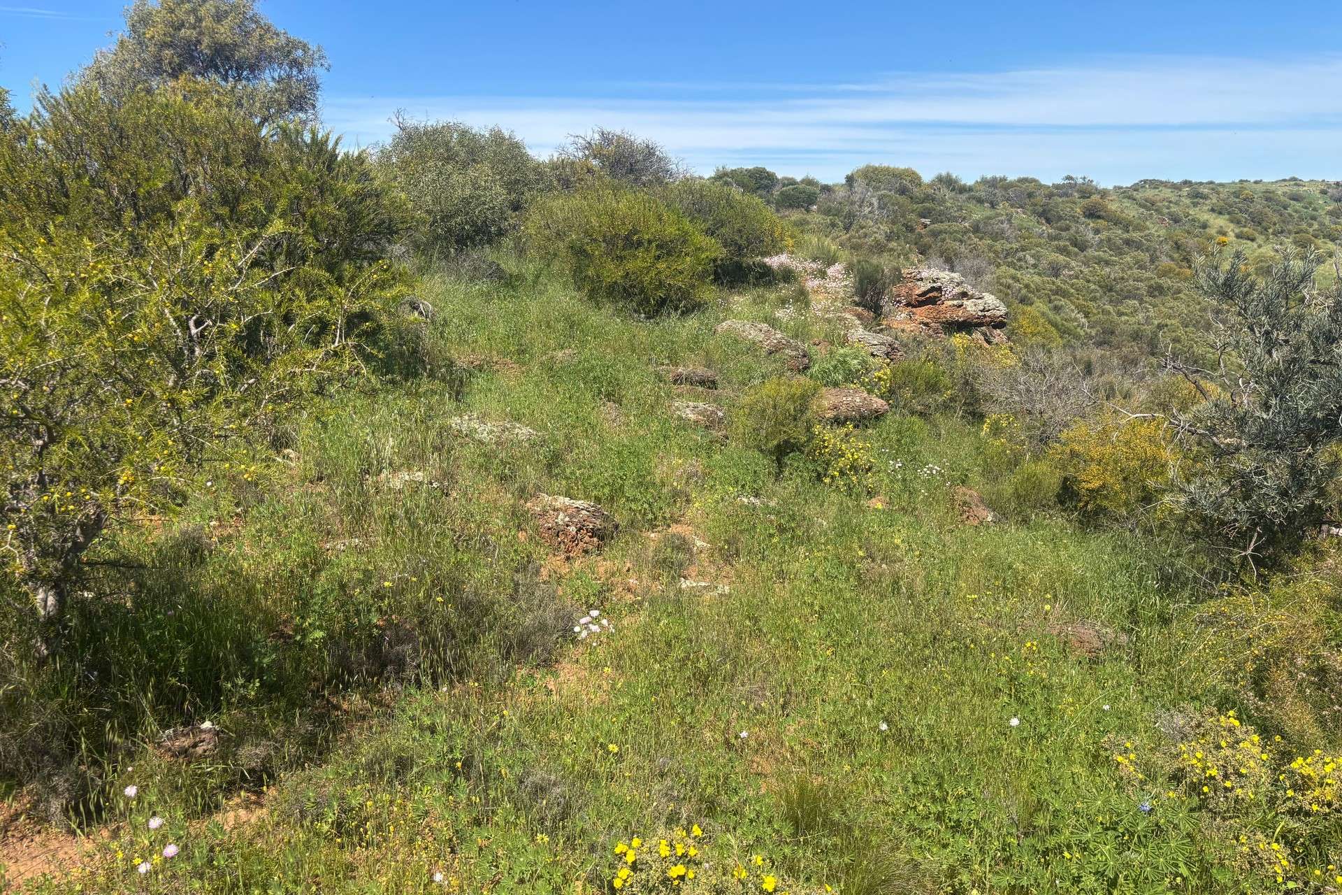 Lot 9500 Chapman Valley Road, Narra Tarra For Sale by Farmbuy.com - image 4