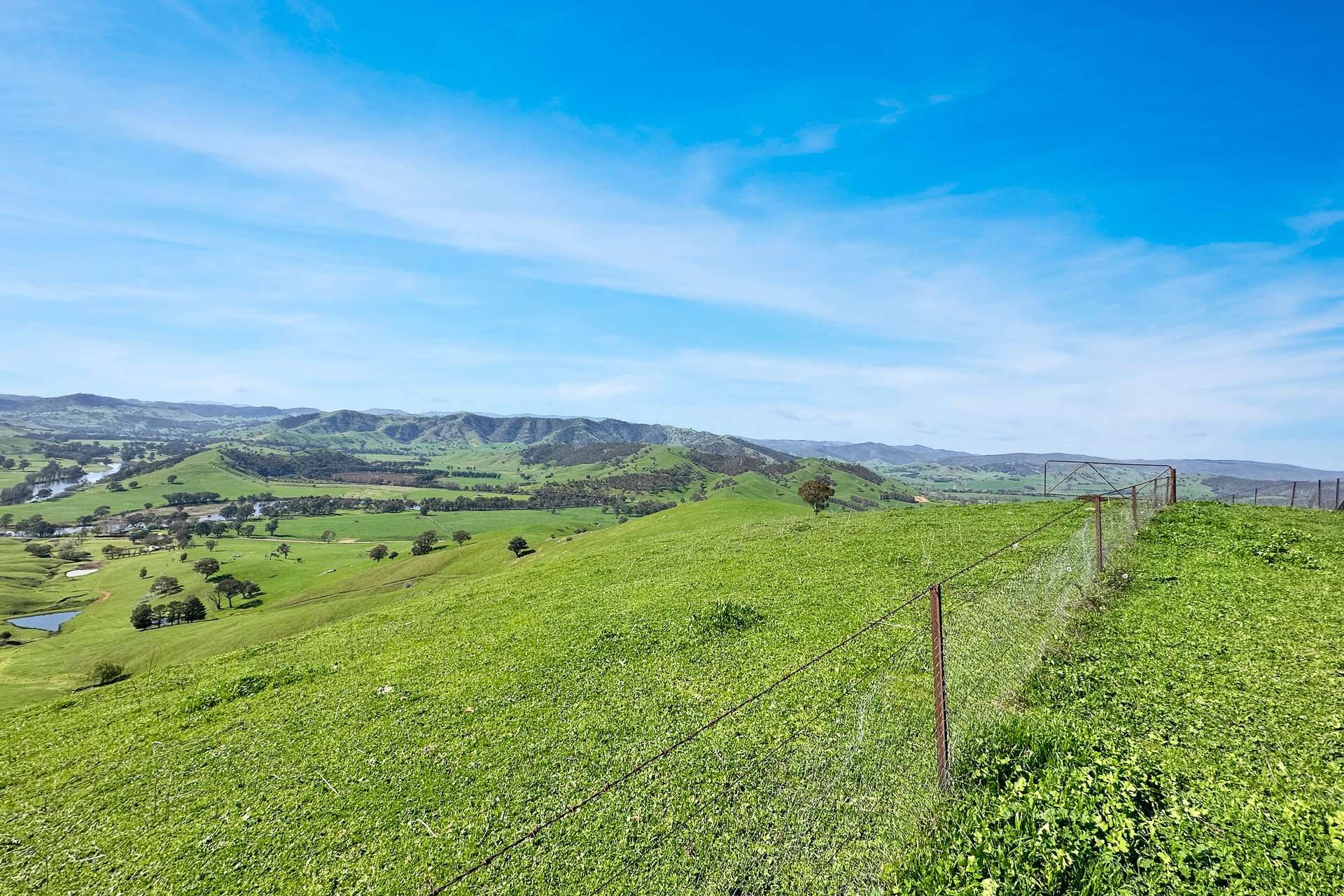 5114 River Road, Jingellic For Sale by Farmbuy.com - image 4