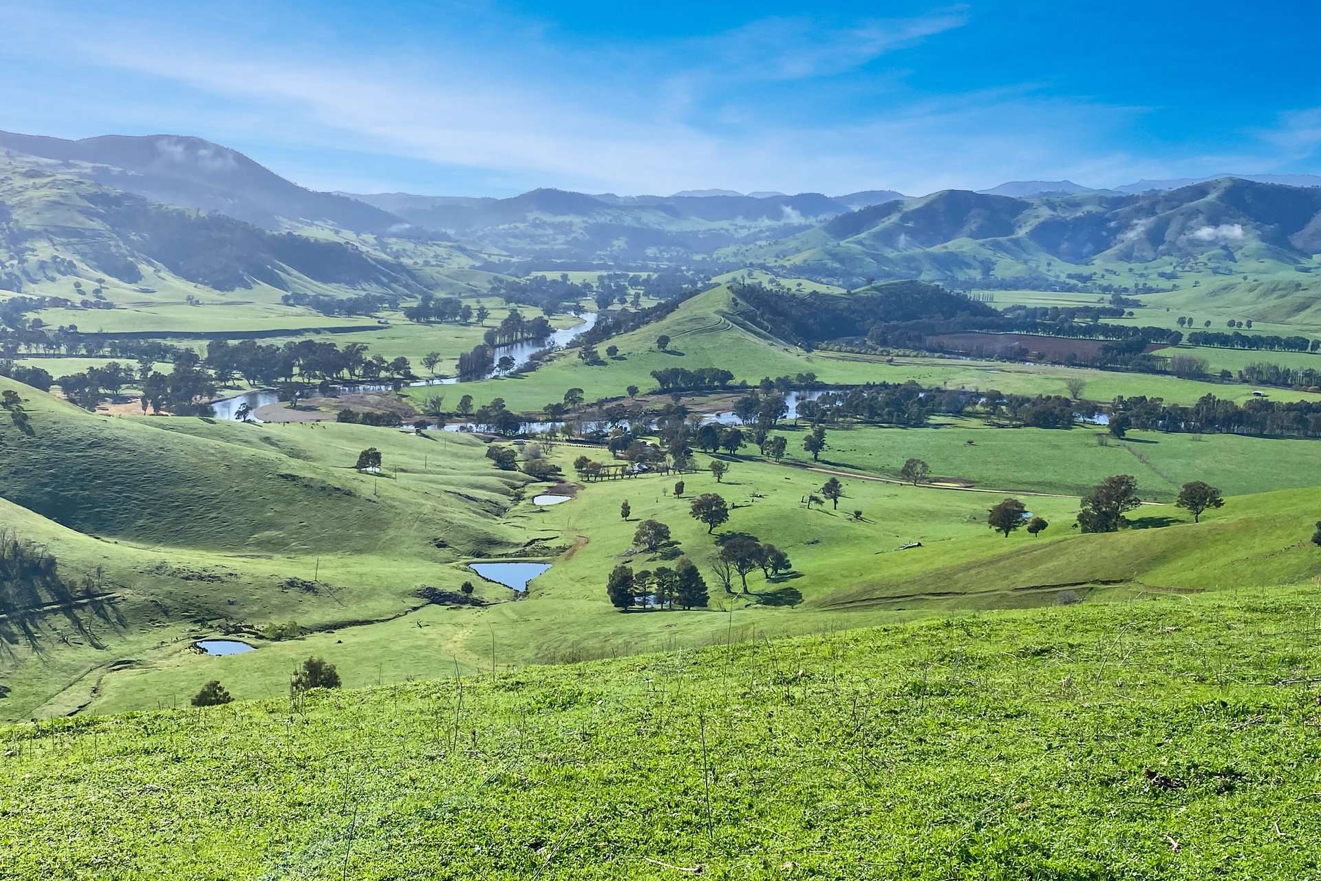 5114 River Road, Jingellic For Sale by Farmbuy.com - image 2