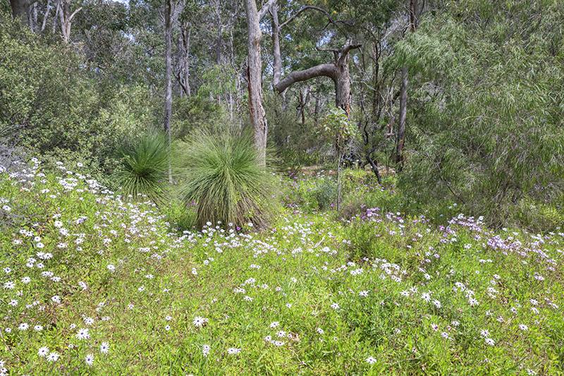 37 Rangnow Place, Margaret River Sold by Farmbuy.com - image 18