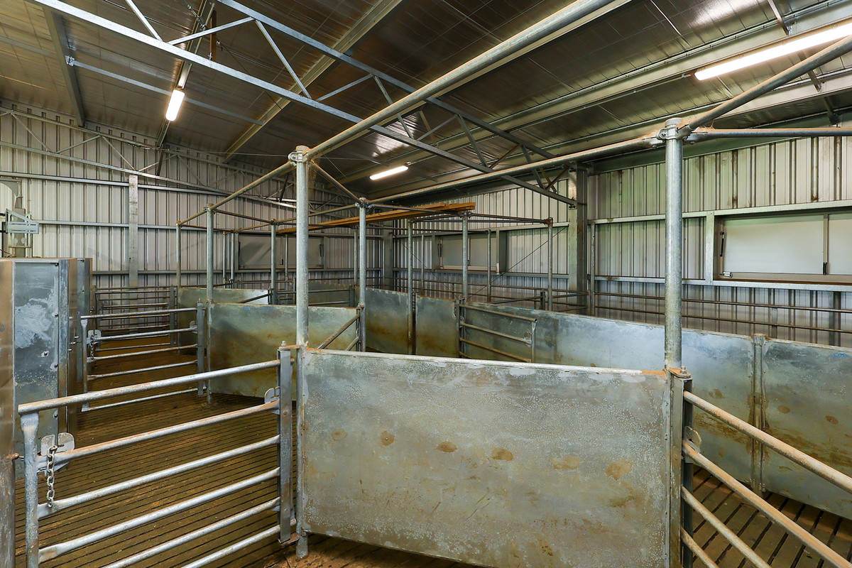 'East Hill' 850 East Hill Road, Bookaar For Sale by Farmbuy.com - image 22