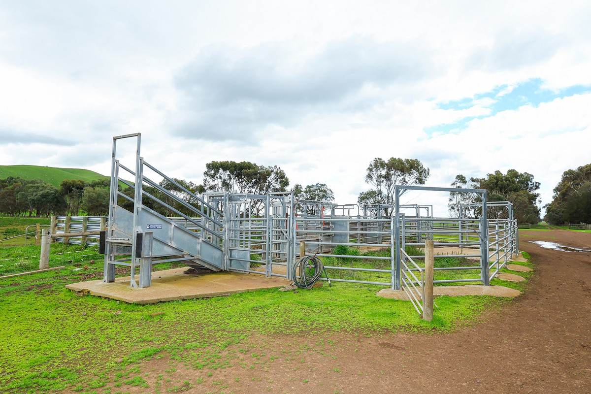 'East Hill' 850 East Hill Road, Bookaar For Sale by Farmbuy.com - image 23