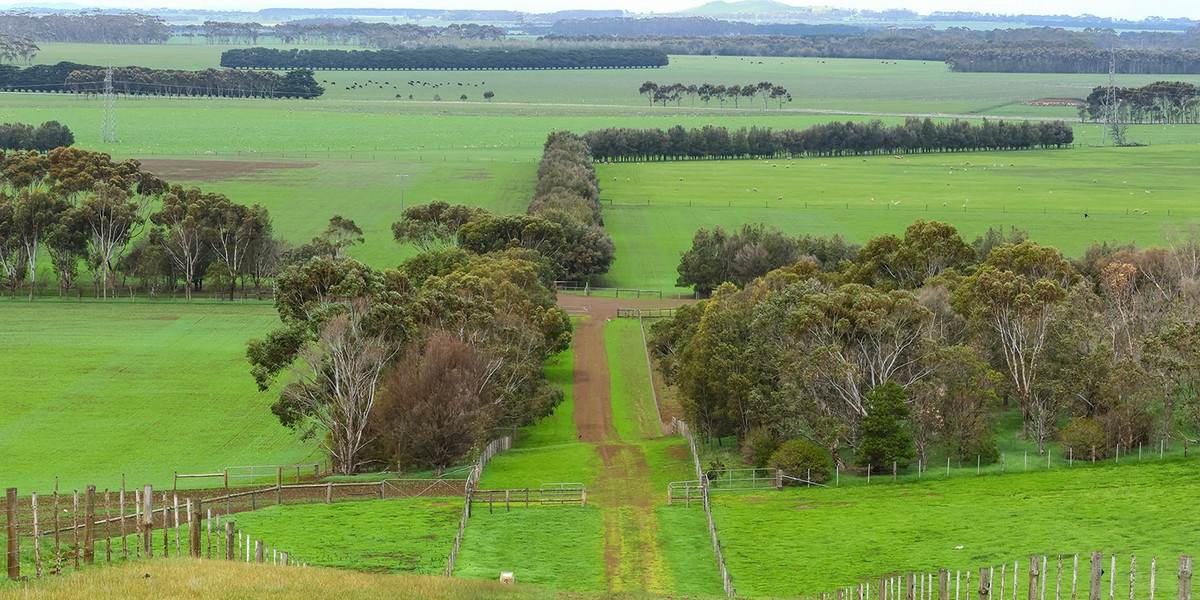 'East Hill' 850 East Hill Road, Bookaar For Sale by Farmbuy.com - image 4