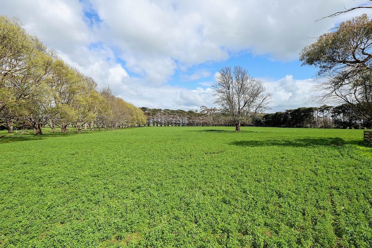 'East Hill' 850 East Hill Road, Bookaar For Sale by Farmbuy.com - image 2