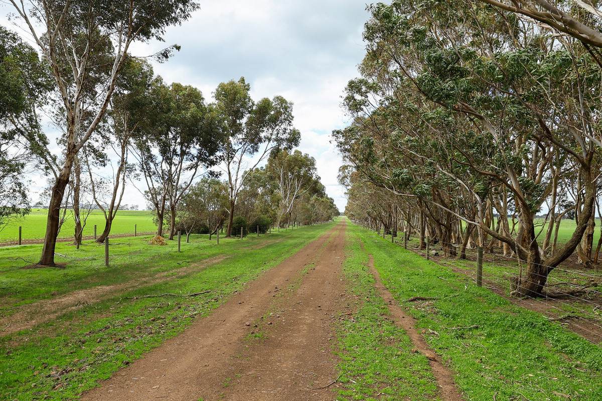 'East Hill' 850 East Hill Road, Bookaar For Sale by Farmbuy.com - image 25