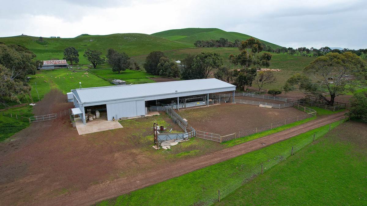 'East Hill' 850 East Hill Road, Bookaar For Sale by Farmbuy.com - image 18