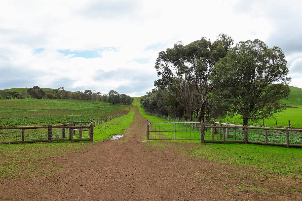 'East Hill' 850 East Hill Road, Bookaar For Sale by Farmbuy.com - image 24