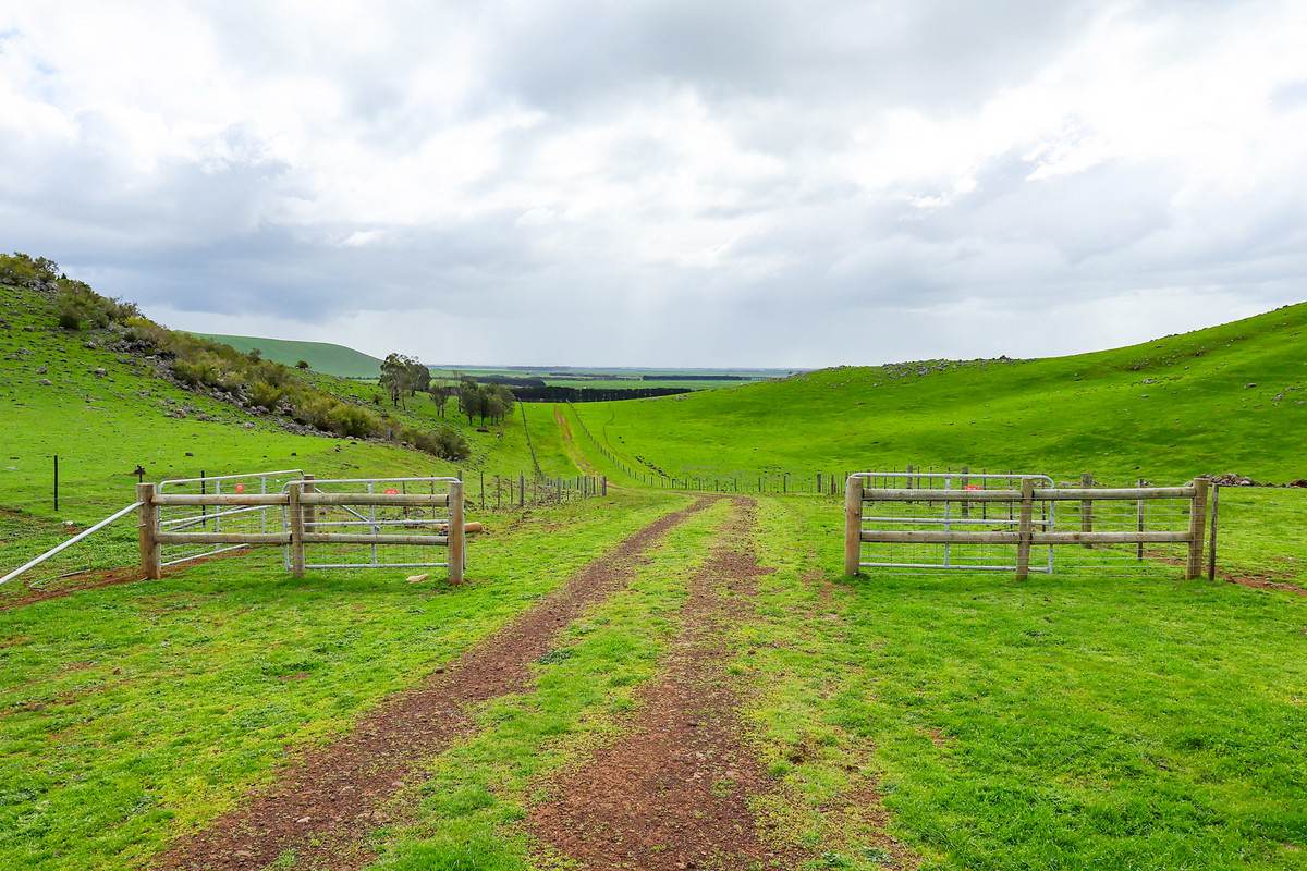 'East Hill' 850 East Hill Road, Bookaar For Sale by Farmbuy.com - image 26